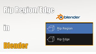 Rip Region and Rip Edge tool in Blender - 43#