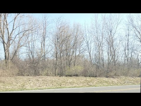 bnsf 5729 Live Norfolk Southern Train