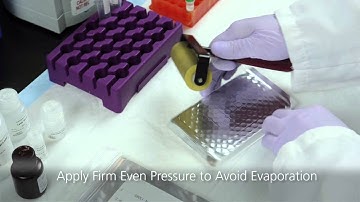 QuantiGene 2.0 Assay Tutorial - For singleplex gene detection