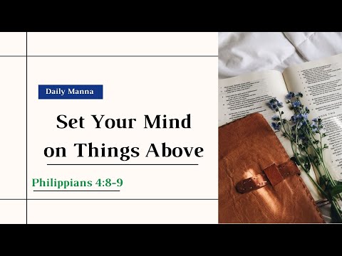 Set Your Mind on Things Above [Book]