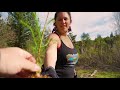 Cali Roots Tree Planting l Redwood Forest Foundation