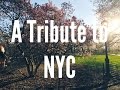 A tribute to new york city