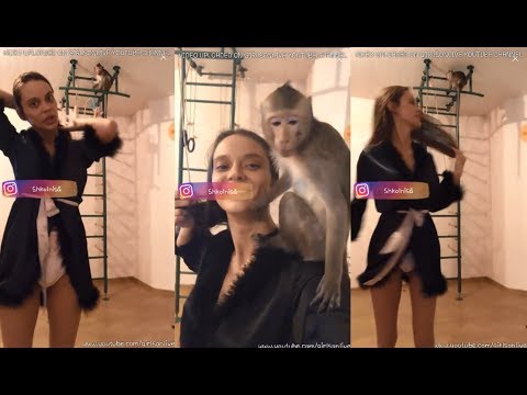 Shkolnisa Russian Girl Looks Like Angelina Jolie | HD Live | Dance With Monkey | Watch Until Ends