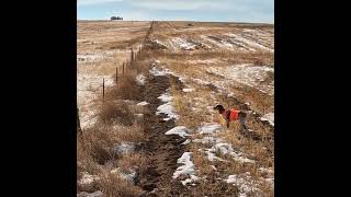 Colorado Pheasant Hunting in the Snow 23es2