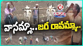 Telangana Records Lack Of Rains | Farmers Waiting For Rain | V6 Teenmaar