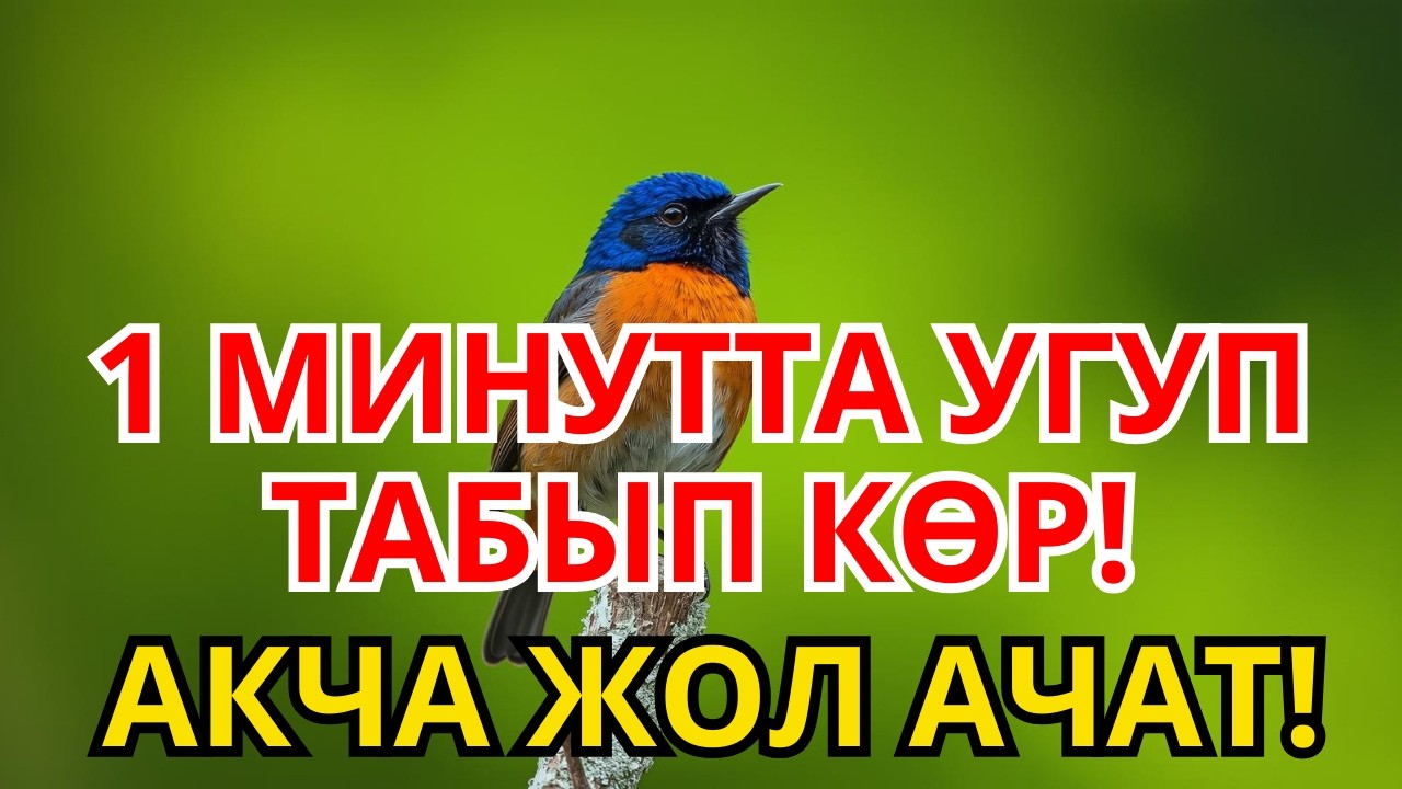 1 РЕТ УГУП КӨР! 🗝️ Бактылуу Жашоого ЖОЛ АЧКАН Эң Күчтүү Дуба
