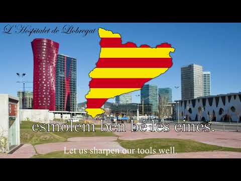 Video: Trei Din Catalonia