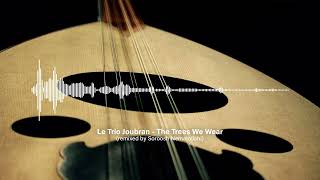 Le Trio Joubran - The Trees We Wear (remixed by Soroosh Nematollahi)