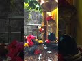 বাবা তারক নাথে চরণে সেবা লাগে মহাদেব। বাবা তোমার চরণে সারা জীবন সেবা করার সুযোগ টা তুমি কেরে নিয় না