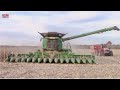 JOHN DEERE X9 1100 Combine Harvesting Corn