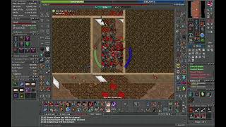 Tibia Steamdeck 630+ Ek cobra -1 6kkraw