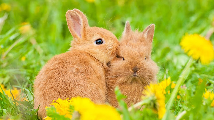 Mother's Day Instrumental version - Instrumental performance video thumbnail