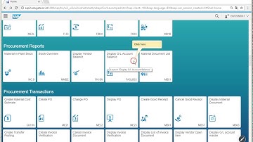 Display G/L Account Balance by SAP SCreen Peronas design Fiori