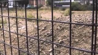 Reel News - The Trail of Destruction