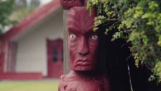 Scholarships in The University of Auckland New Zealand Scholarships in The University of Auckland New Zealand