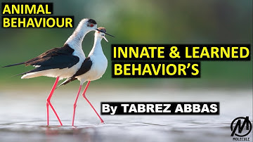 Animal Behaviour - Innate & Learned Behaviour of Animals || NEET, AIIMS, B.Sc, M.Sc