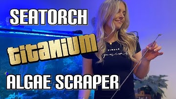 Algae scraper for your fish tank- reviewing the SeaTorch Titanium Algae scraper