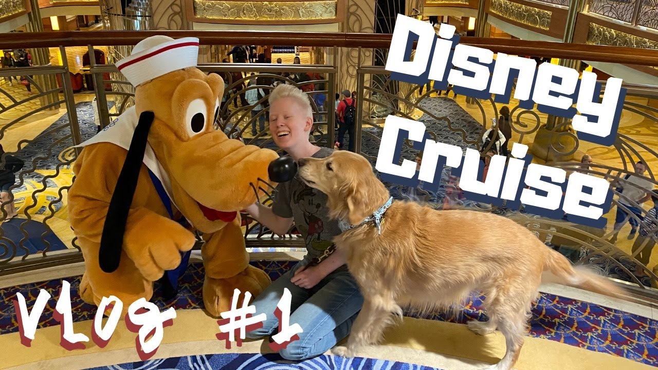 cruise ship service dog