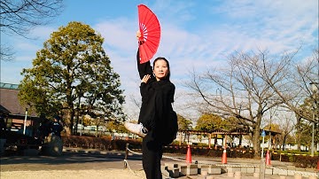 太極功夫扇：最新摄影 （正面）（背面）示范：黄冬梅（兴玥）#taichi#太極拳 #24式简化太极拳