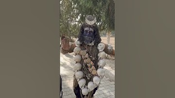 Ram Chander Shankar ka bhajan kar #bholenath #mahadev #shiv #shivshankar #mahakal #harharmahadev