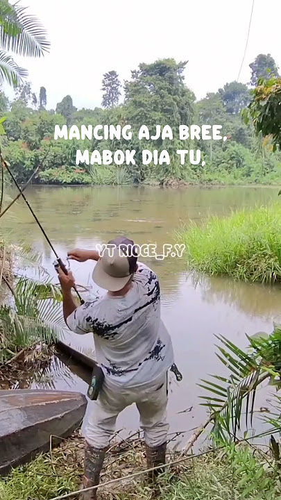 siap minum tuax tu bree'tingglin aja