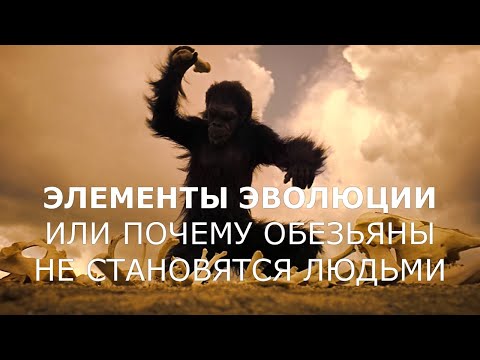ЭЛЕМЕНТЫ ЭВОЛЮЦИИ.  ИЛИ ПОЧЕМУ ОБЕЗЬЯНЫ НЕ СТАНОВЯТСЯ ЛЮДЬМИ