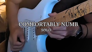 Comfortably Numb - Pink Floyd Guitar Solo