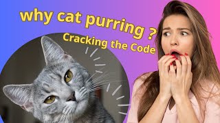 🤔 Cracking the Code: Deciphering Why Cats Purr! 🔐 by cats aid 94 views 1 month ago 2 minutes, 22 seconds