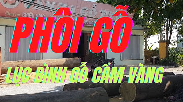 PHÔI GỖ TIỆN LỌ LỘC BÌNH GỖ CẨM VÀNG | NGUYỄN VĂN CƯƠNG