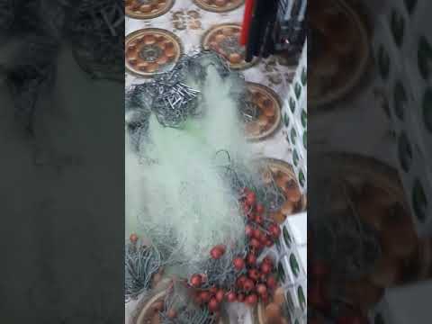 لعشاق صيد الشبك غزل الطول ١٩متر العرض ١٢٠سم السعر ٢٥٠ج