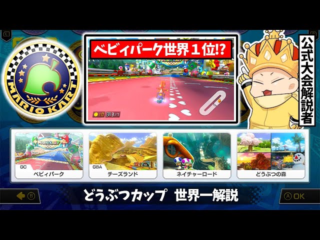 World Champion (WR) Observation - Animal Cup Edition] Baby Park's