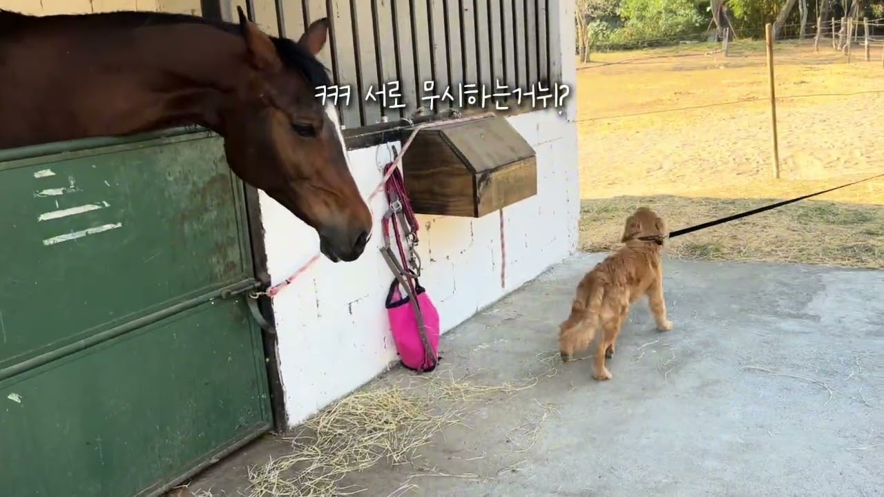 🇬🇹과테말라 안티구아 주말 나들이🇬🇹😘🚲🍹🌮