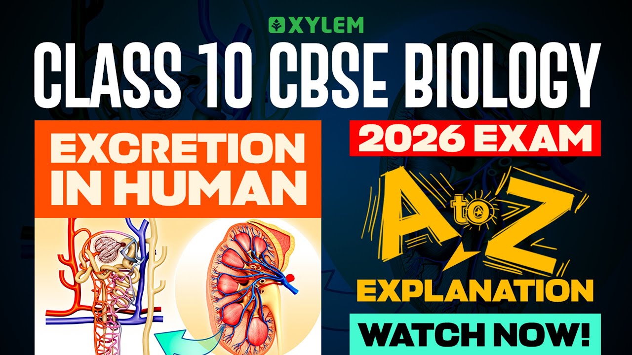 Class 10 CBSE Biology | Excretion in Human | A to Z Explanation | Xylem ...