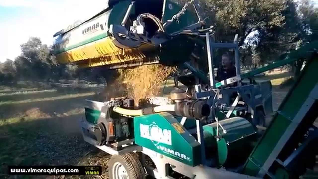 Limpiadora de aceitunas CRN32 - VIMAR EQUIPOS SL