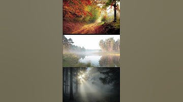 Beautiful Morning scenes with soothing nature sounds #shorts