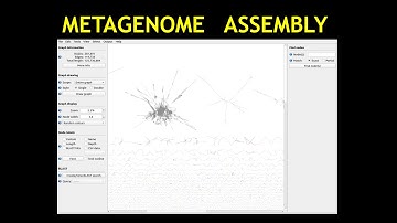 Metagenomics Tutorial | metagenome assembly visualization with Bandage