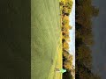 #兒童高爾夫 #golf #高爾夫 #kidgolfer #golfswing #https://www.youtube.com/@liweilo1786