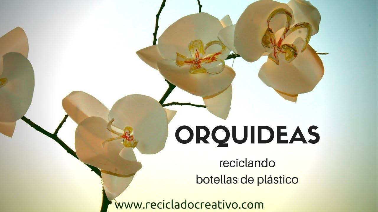 Cómo hacer orquídeas con botellas de plástico - How to make orchids out of  recycled plastic bottles - thptnganamst.edu.vn