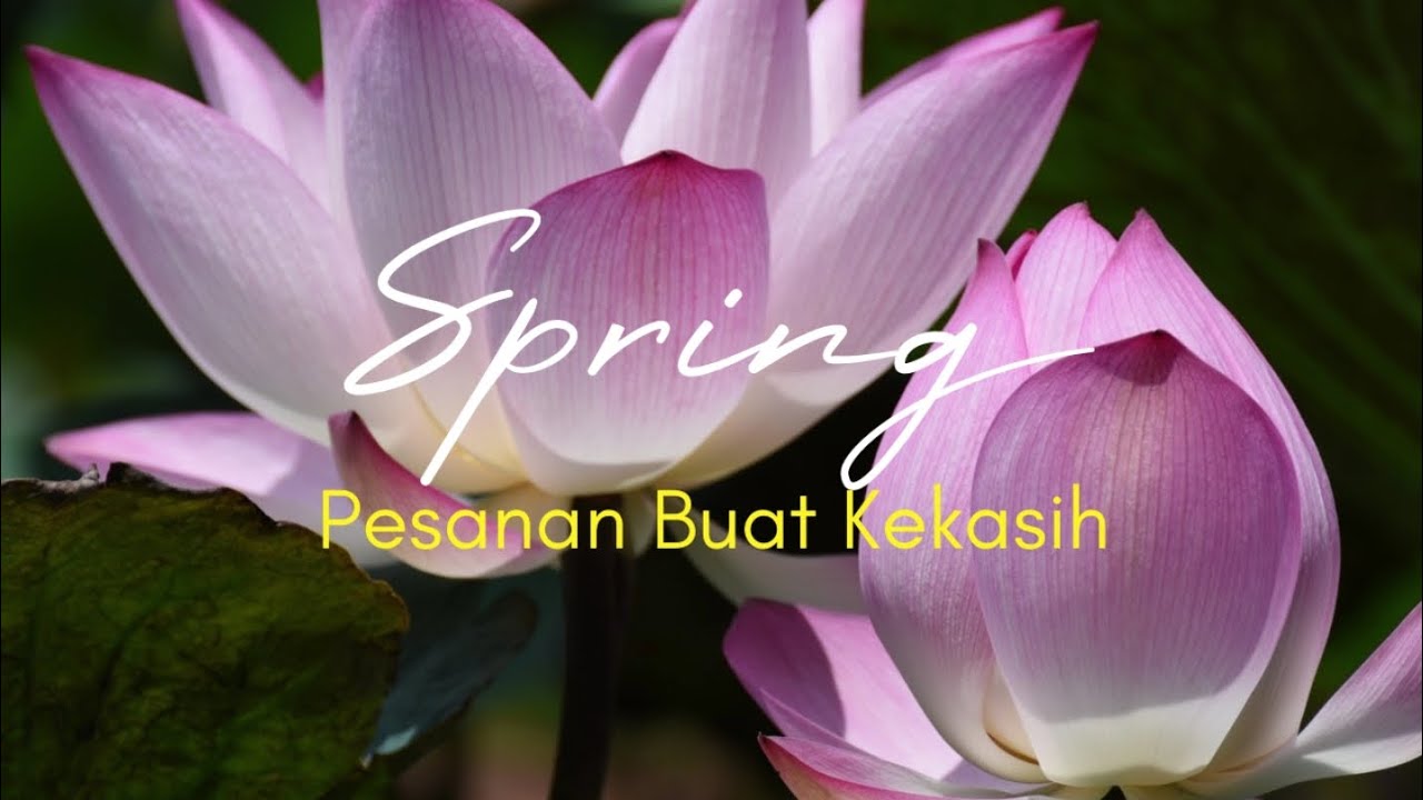 Spring - Pesanan Buat Kekasih (lirik) - YouTube