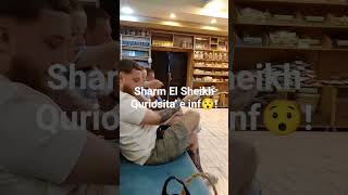 #egitto #sharm#natural #plants  #sharmelsheikh #shortvideo #short #egitto #erbs