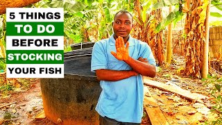 Things To Do Before Stocking Your Fish | Catfish Farming In 2021