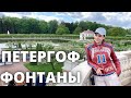 ПЕТЕРГОФ Фонтаны, что посмотреть в Петербурге?