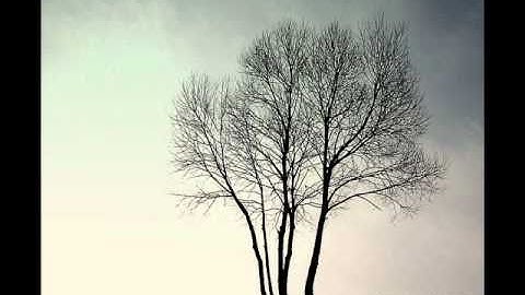 Prodigy - Shoot Down