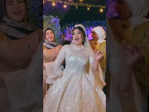 عايزين ندلع دول
