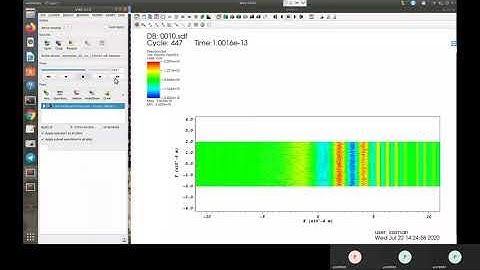 Simulation after plane polarization