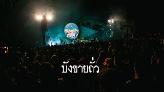 บังขายถั่ว - TaitosmitH  (Live at มีชื่อโฟล์คเฟสติวัล)