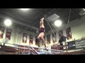 2016 Minnesota Men's Gymnastics Promo Video