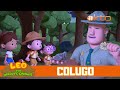 The Flying Colugo Stole My Scrunchie! | NEW |Leo the Wildlife Ranger| Kids Videos | @Mediacorp okto