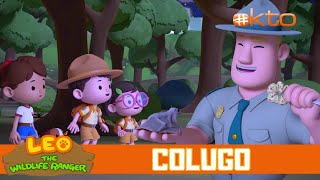 The Flying Colugo Stole My Scrunchie! | NEW |Leo the Wildlife Ranger| Kids Videos | @Mediacorp okto