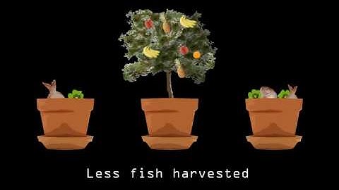 Matt Ridley - The Rational Optimist: Intensive Farming